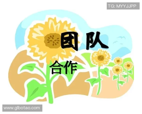 杭州排球队阵地战分析与反思:得失背后的战术与团队协作